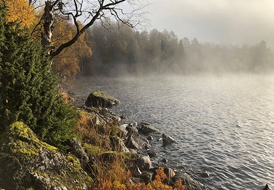 Sjö med dimma