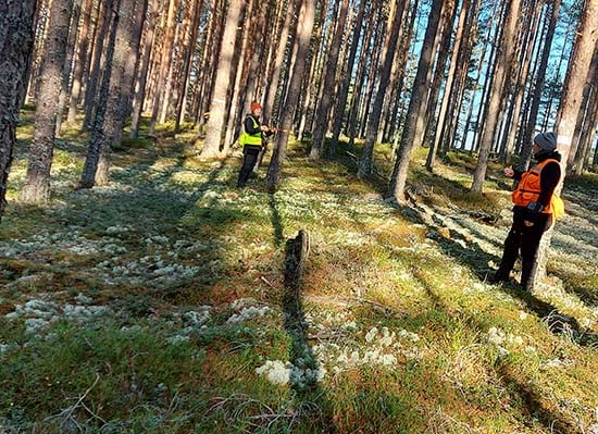 naturvårdande skötsel planeras