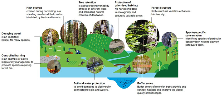 examples of biodiversity management